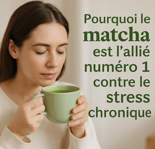 Pourquoi le matcha est l’allié numéro 1 contre le stress chronique
